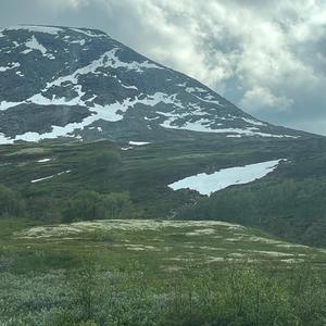 Lensmanns skjønn