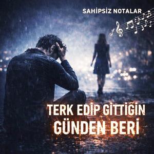 Terk Edip Gittiğin O Günden Beri