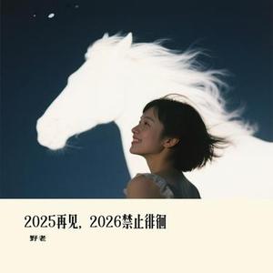 2025再见，2026禁止徘徊