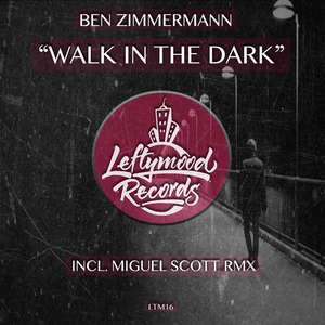 Walk in the Dark (Miguel Scott Remix)