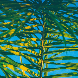 About Green
