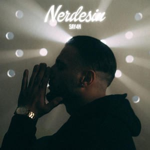 Nerdesin