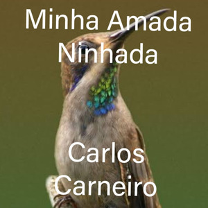 Minha Amada Ninhada