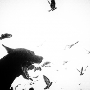 Черное сердце