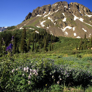 打今起我要做个三好女人