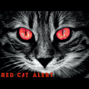 Red Cat Alert