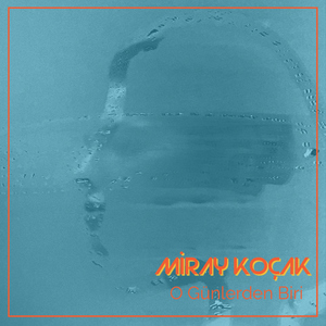 Şu Kışlanın Kapısına