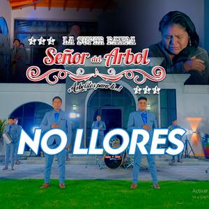La Super Banda Señor Del Arbol - No Llores