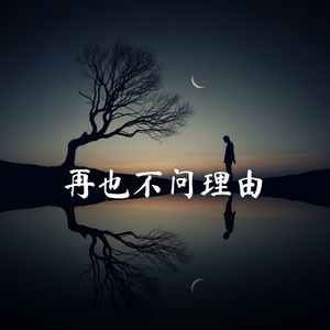再也不问理由