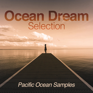 Close Perspective Sea