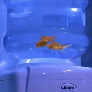 产幻产幻产幻产幻