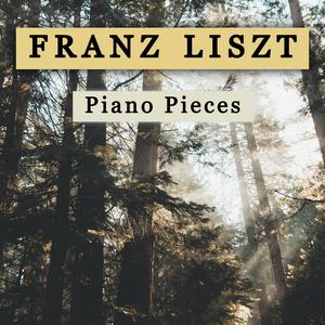 Etude No.3 in D-Flat Major, S.144: Franz Liszt
