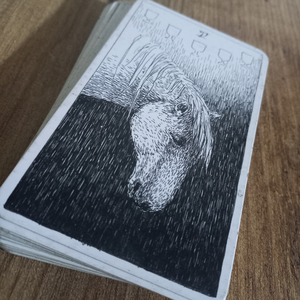 Kusuyorum sözlerimi