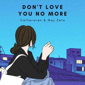 Don't Love You No More