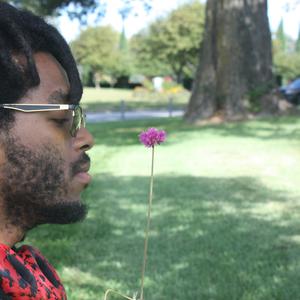 Warmth of a Thousand Flames