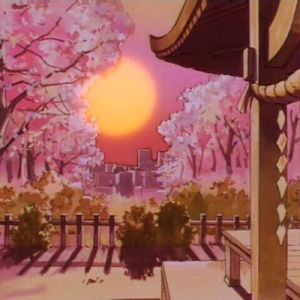 我看了47次日落