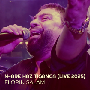 N-Are Haz Tiganca (Live 2025)