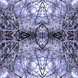 Bourree in S Major, BWV 1010