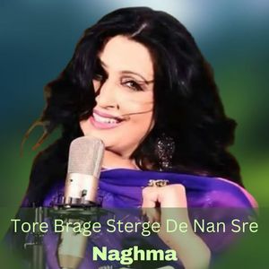 Tore Brage Sterge De Nan Sre