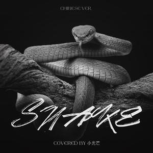 Snake (Chinese Ver.)