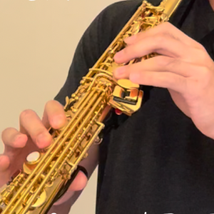 萨克斯 Cover 爱上张无忌