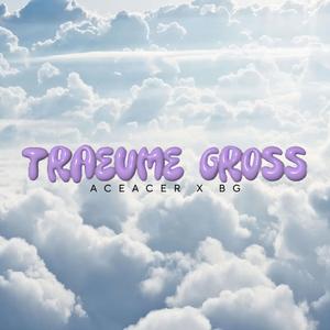 Träume Groß (feat. BG & Barré)