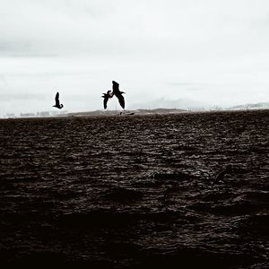Endless Strikes -*via ad pacem aeternam*-