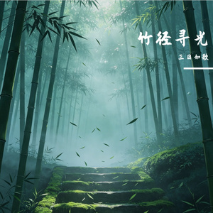 竹径寻光