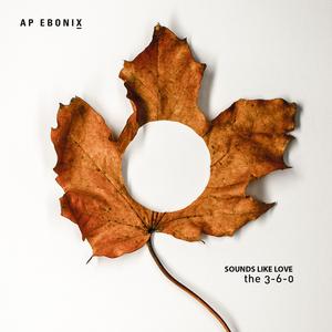 Sounds Like Love (feat. Martin Mcfly & Accapella)