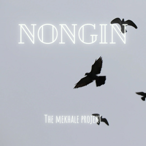 NONGIN (Radio Edit)