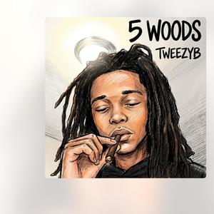 5 woods