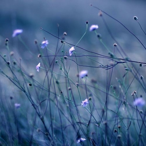 Long Ago (Original Mix)