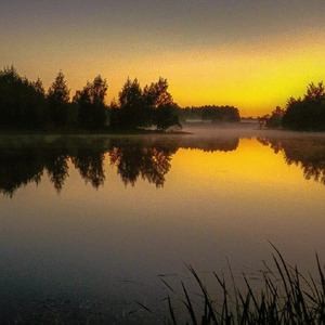 просто друг