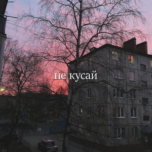 Не кусай
