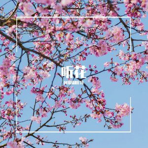 听花（翻自 麦小兜）