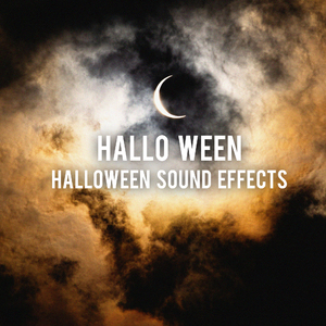 Forest Grave Digging