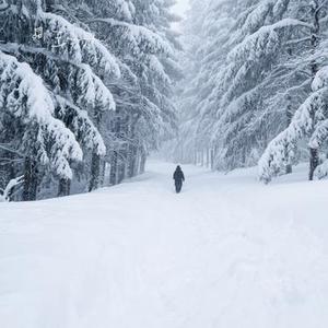 大雪谣 (Cover 六小乐)