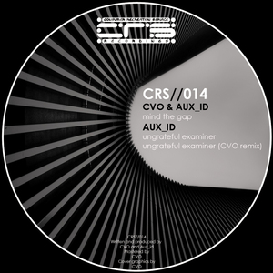 Ungrateful Examiner (Conrad Van Orton Remix)