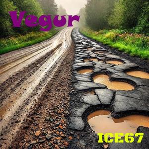 Vegur (Radio Edit)