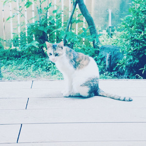 未来の話 (ずっと忘れないでいてねver.)