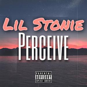 Perceive