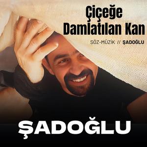 Çiçeğe Damlatılan Kan