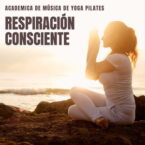 Lista de Reproducción de Yoga