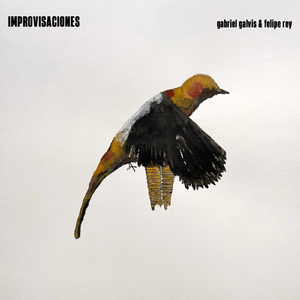 Improvisación II