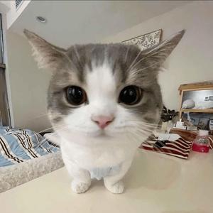 RIDE (feat. Sean Kingston & Ty Dolla $ign)