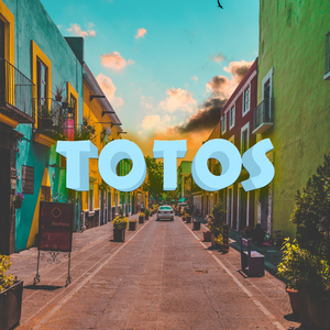 Totos