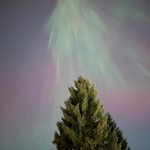 ive been losin my grip