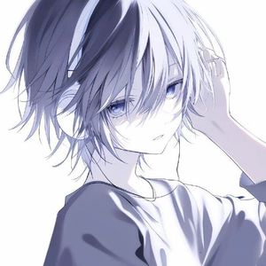 纸星与逆向的雪