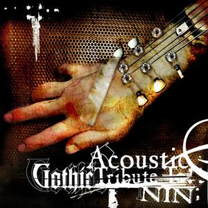 Ruiner (Cover Version)