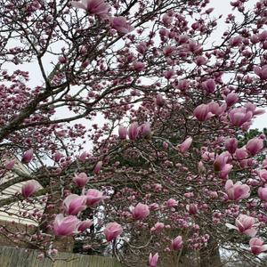 Living Proof (feat. paymels)